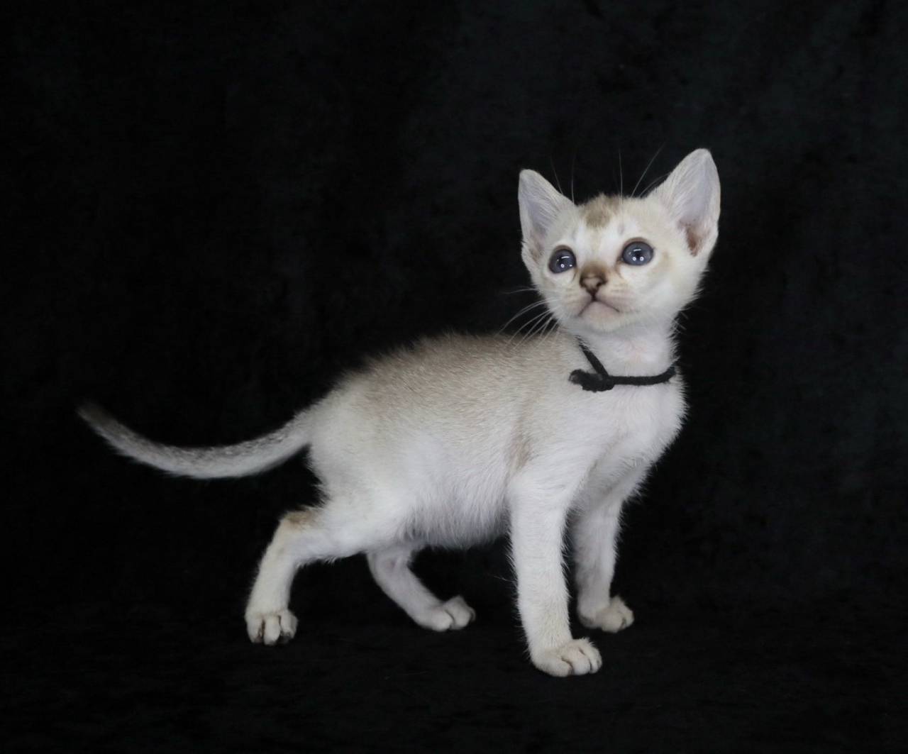 2025.3.6　産まれ　男の子