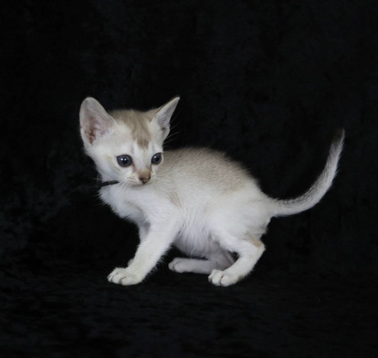 2025.3.6　産まれ　男の子