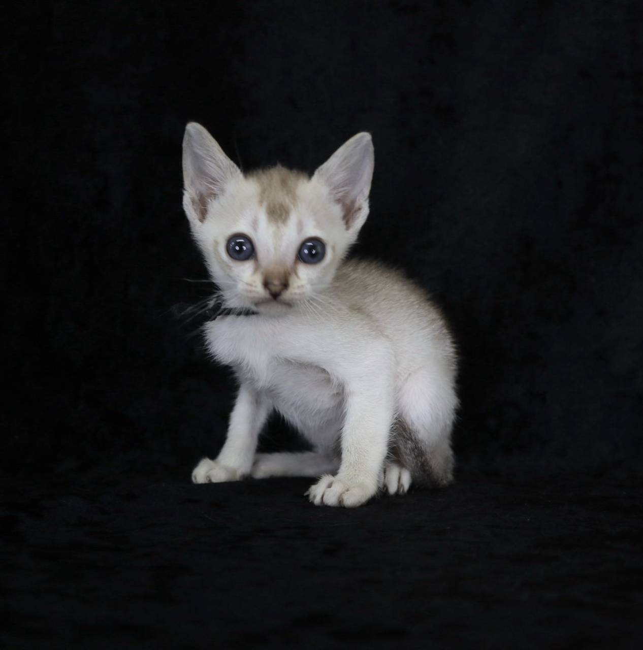 2025.3.6　産まれ　男の子