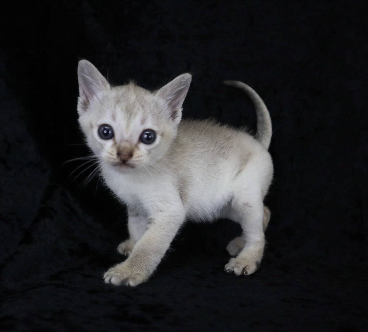 2025.3.13　産まれ　男の子